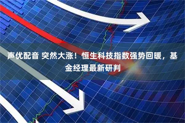 声优配音 突然大涨！恒生科技指数强势回暖，基金经理最新研判