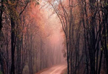 第一杠杆第二杠杆第三杠杆:股票低息配资-外交部：中国对俄罗斯持普通护照人员试行免签政策